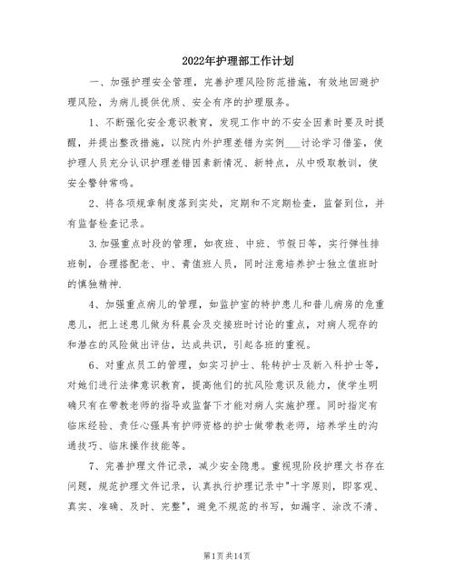 2022年护理部工作计划.doc