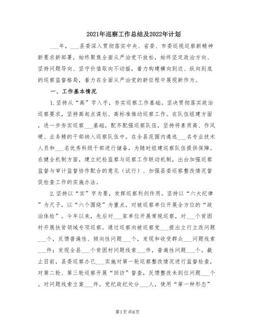 2021年巡察工作总结及2022年计划.doc