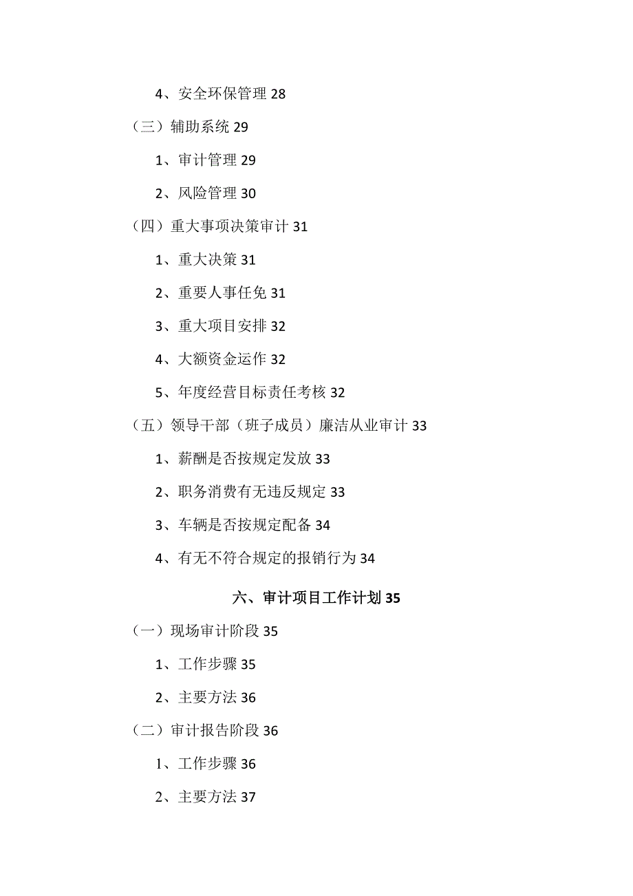 XX单位管理审计方案.doc_第2页