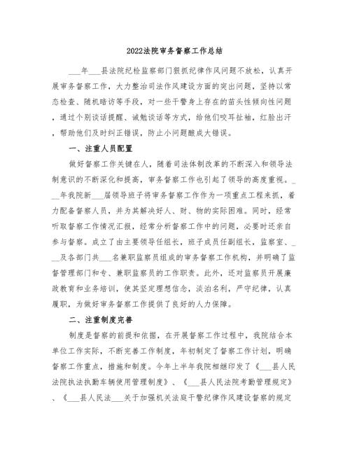 2022法院审务督察工作总结.doc