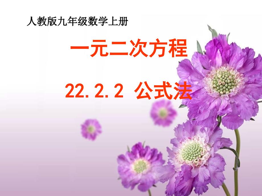 一元二次方程公式法说课课件.ppt_第1页