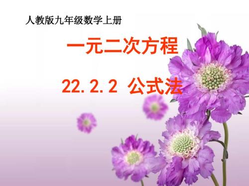 一元二次方程公式法说课课件.ppt
