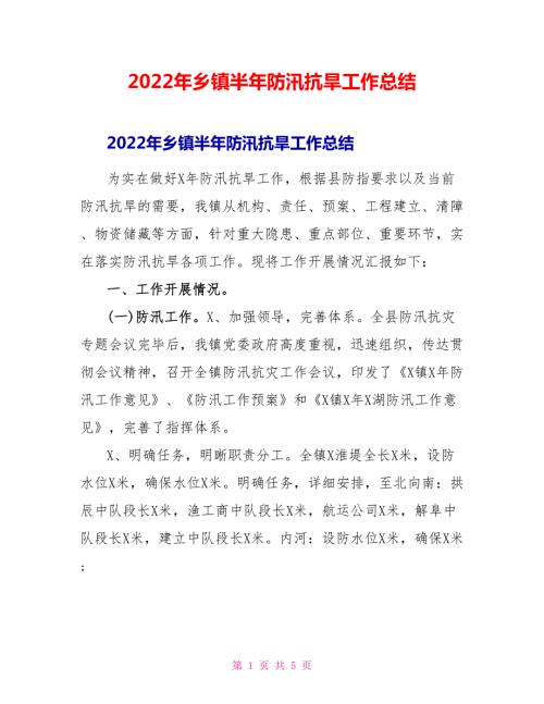 2022年乡镇半年防汛抗旱工作总结.doc