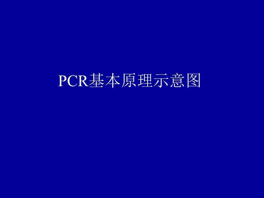 PCR基本原理示意图.ppt_第1页
