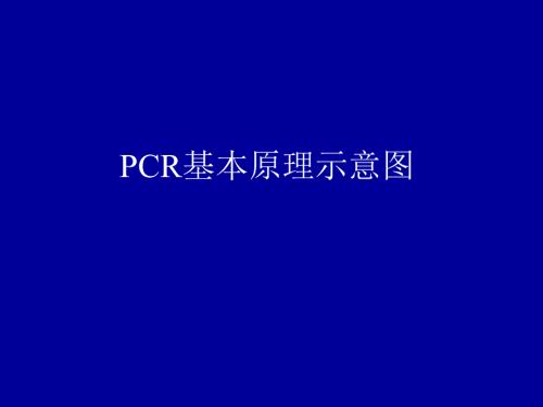 PCR基本原理示意图.ppt