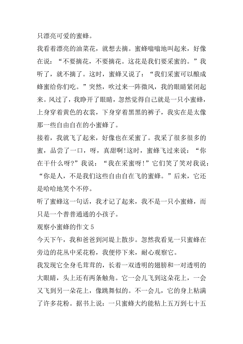 2023年观察小蜜蜂作文9篇.docx_第3页