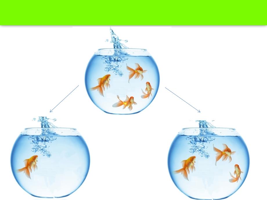 4的分解与组成PPT课件.ppt_第3页