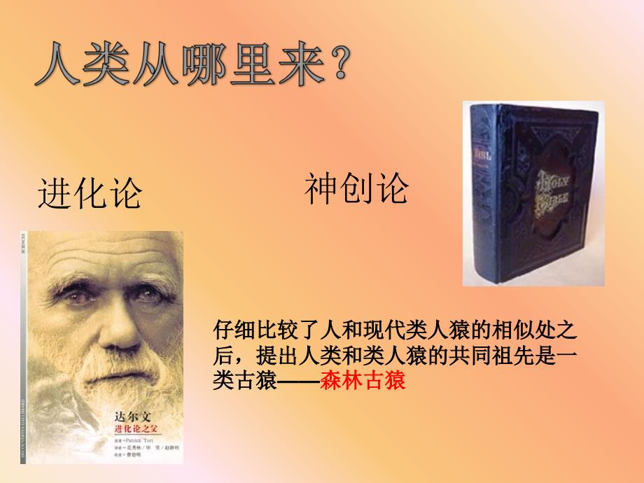 一人类的起源与发展.ppt_第3页