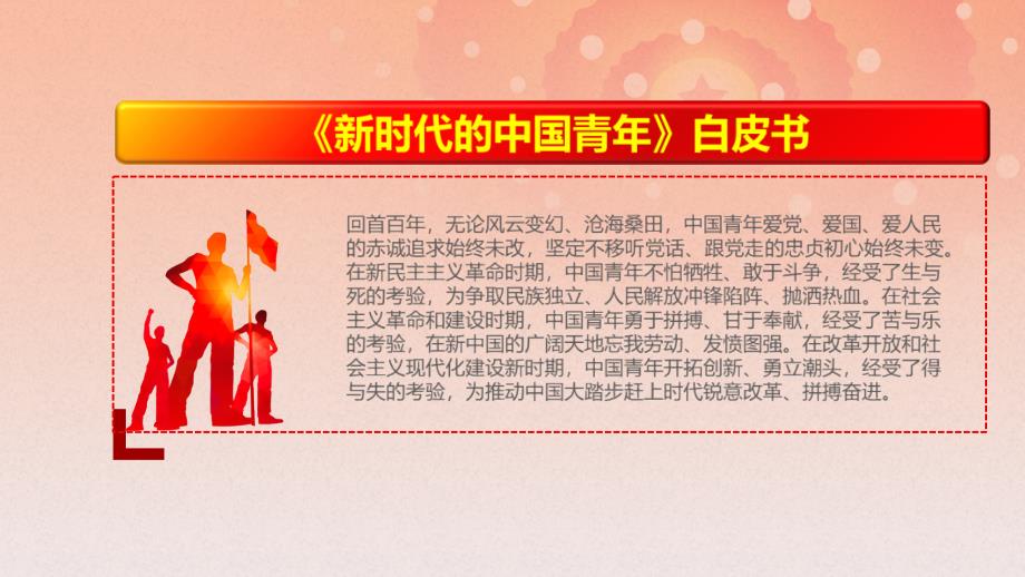 2022新时代的中国青年白皮书全文重点PPT.pptx_第3页