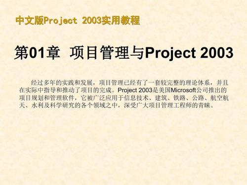 30分钟学会project使用教程240页.ppt
