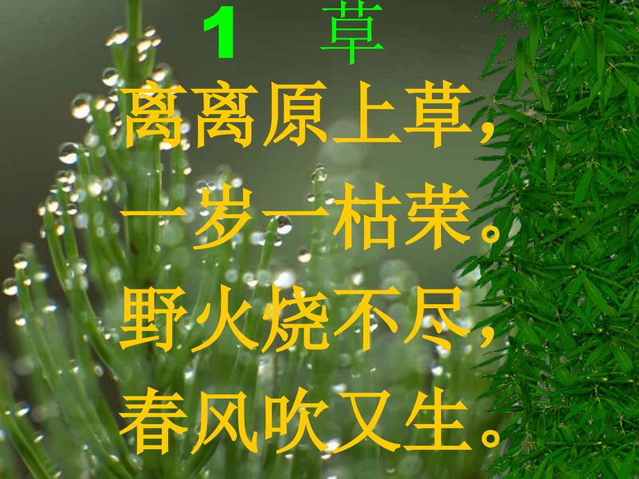 2古诗草PPT课件.ppt_第1页