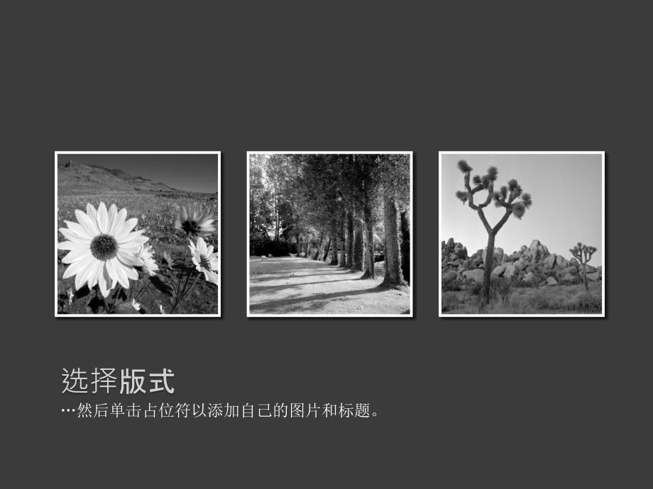 ppt模板古典型相册.ppt_第3页