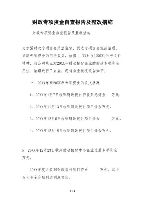 2021财政专项资金自查报告及整改措施.docx