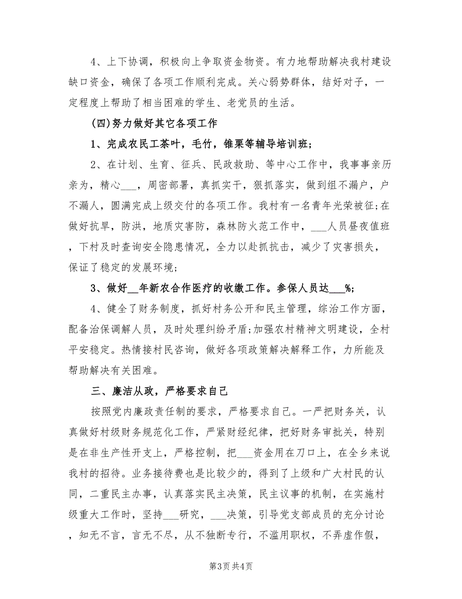 2022村党支部书记工作总结.doc_第3页
