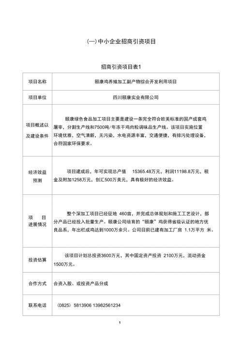一中小企业招商引资项目汇总.doc