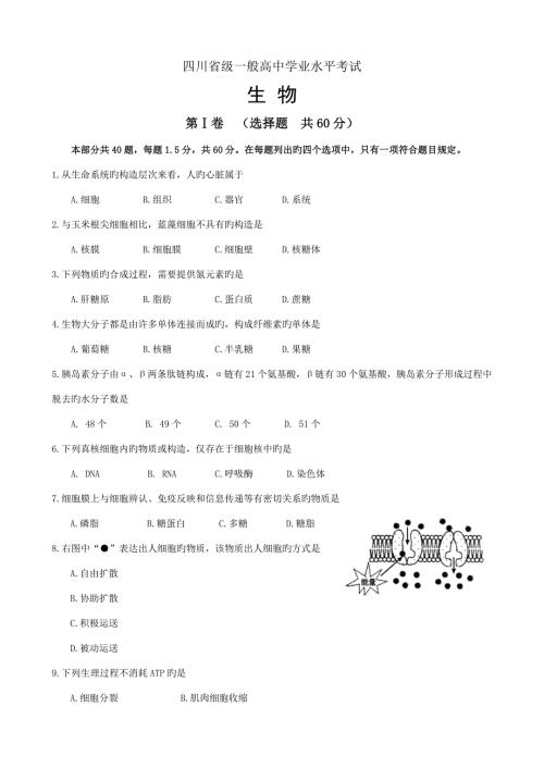 2022纯四川省级普通高中学业水平考试生物含答案.doc