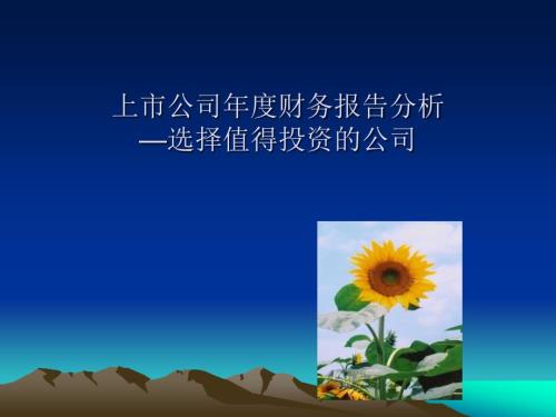 上市公司财务报告分析.ppt