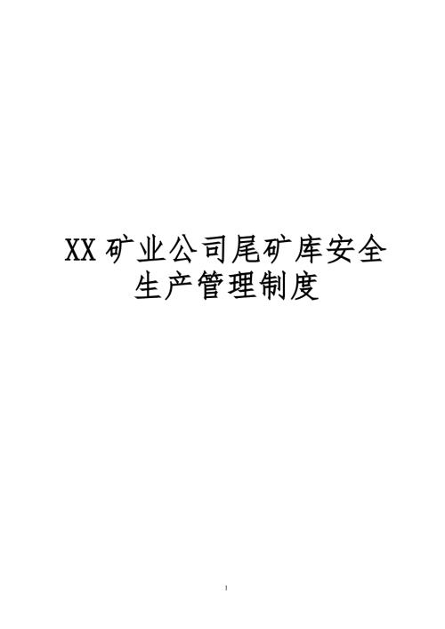 XX矿业公司尾矿库安全生产管理制度.doc