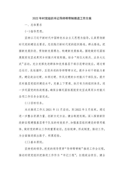 2022年村党组织书记导师帮带制推进工作方案六页.doc