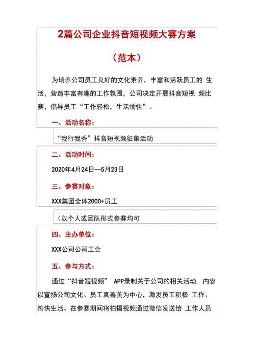 2篇公司企业抖音短视频大赛方案.docx