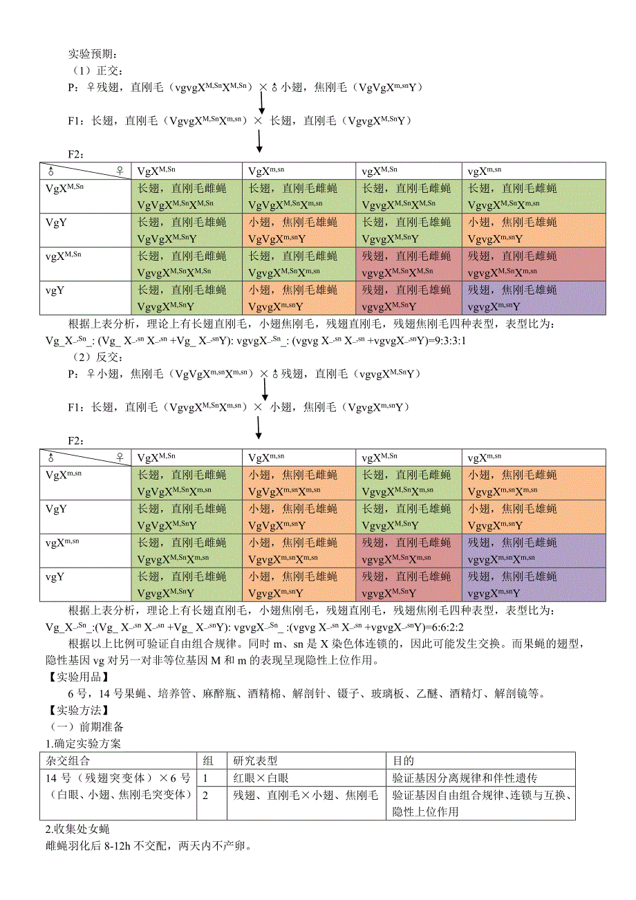 4793696049果蝇杂交实验报告.doc_第3页
