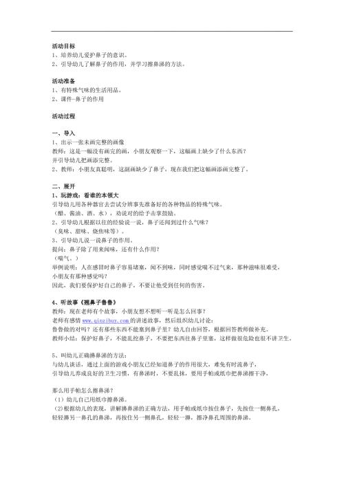 小班健康教育《小小鼻子要保护》PPT课件教案参考教案.docx