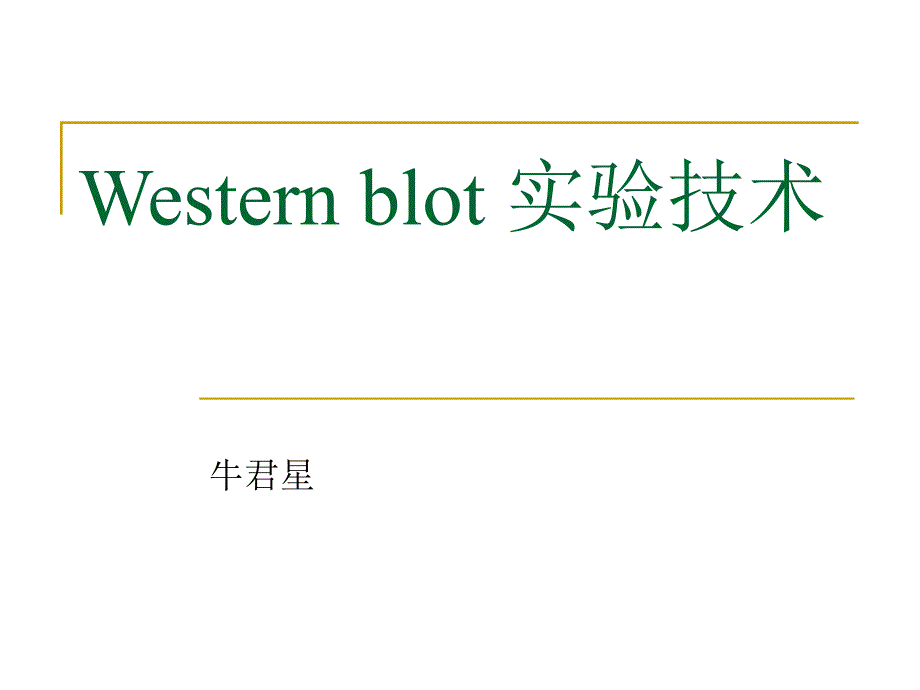 WB原理流程PPT课件.ppt_第1页