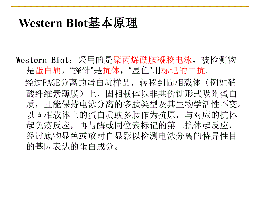 WB原理流程PPT课件.ppt_第3页