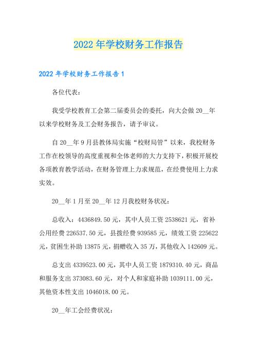 2022年学校财务工作报告.doc