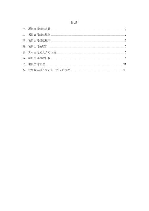PPP项目项目公司组建方案.doc
