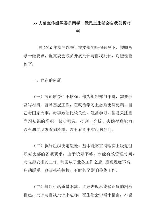 xx支部宣传组织委员两学一做民主生活会自我剖析材料.docx