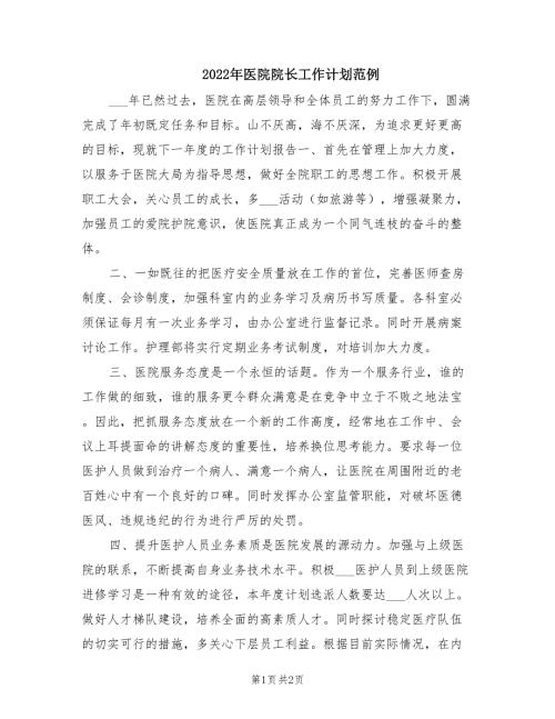 2022年医院院长工作计划范例.doc
