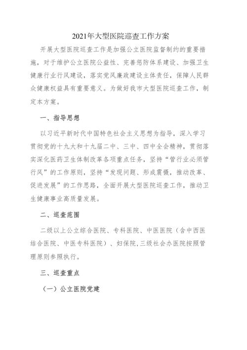 2021年大型医院巡查工作方案.doc
