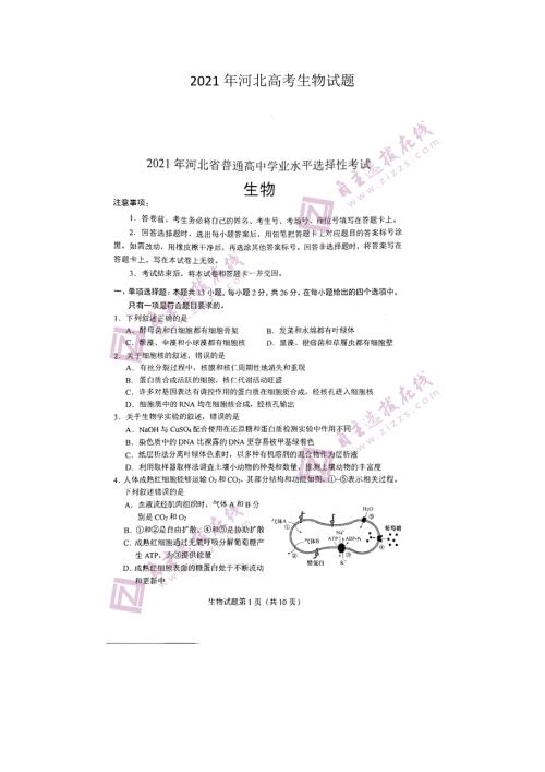 2021年河北高考生物试题含答案.docx