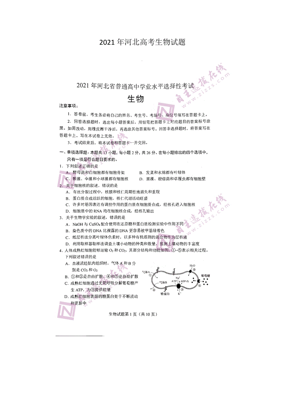 2021年河北高考生物试题含答案.docx_第1页