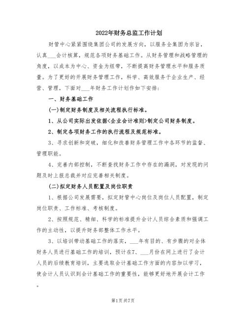 2022年财务总监工作计划.doc