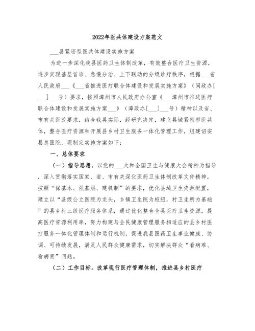 2022年医共体建设方案范文.doc