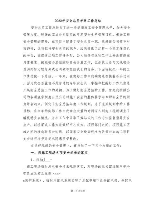 2022年安全总监年终工作总结.doc