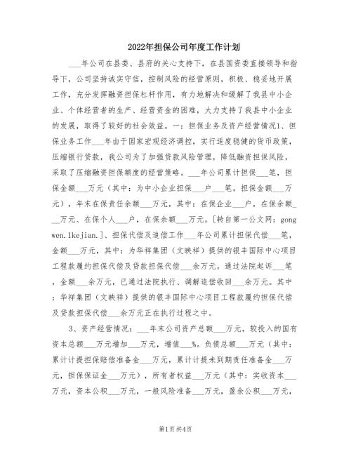 2022年担保公司年度工作计划.doc