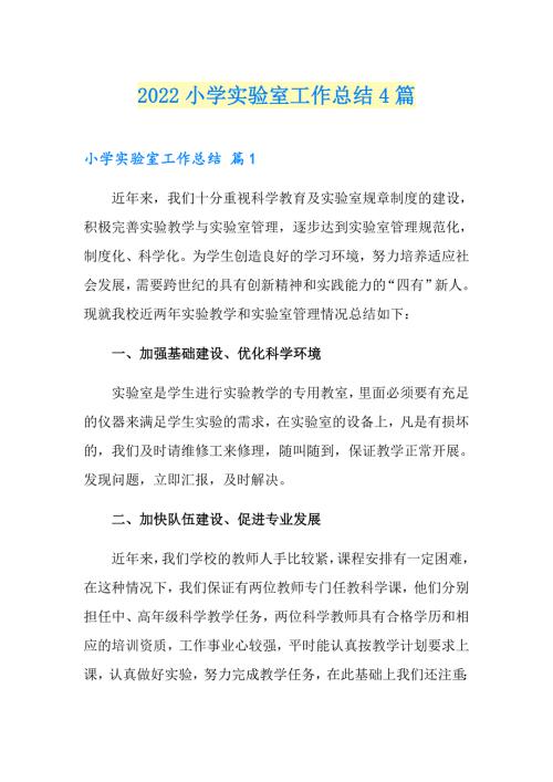 2022小学实验室工作总结4篇.doc