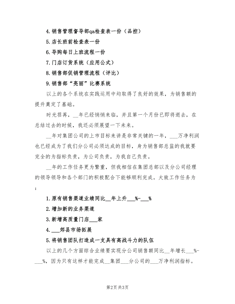 2021年总监销售工作总结.doc_第2页
