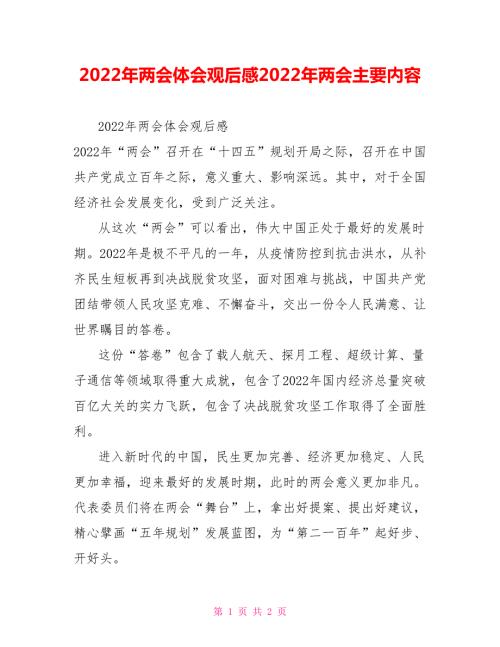 2022年两会体会观后感2022年两会主要内容.doc