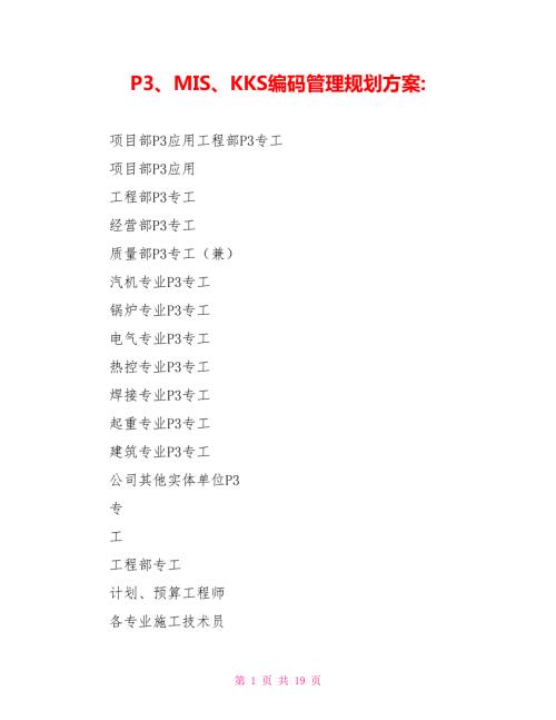 P3MISKKS编码管理规划方案.doc