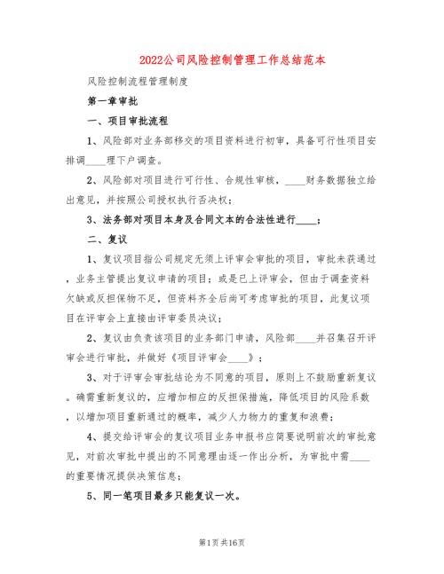 2022公司风险控制管理工作总结范本2篇.doc