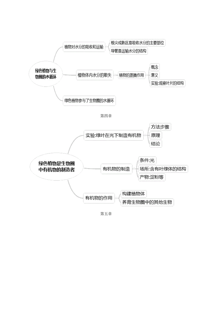 七年级上册生物思维导图.doc_第3页