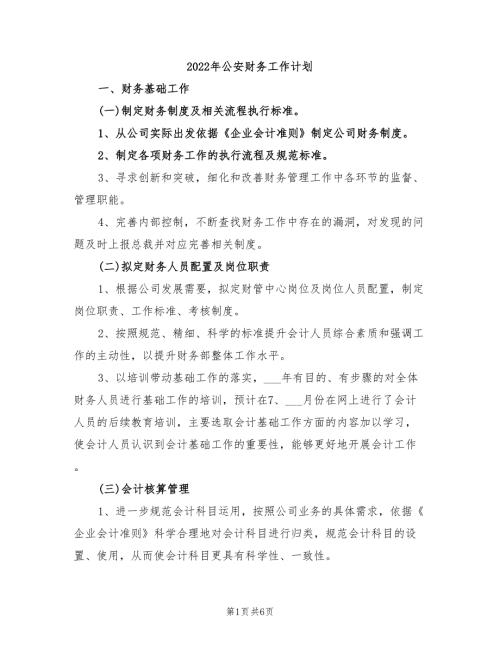 2022年公安财务工作计划.doc
