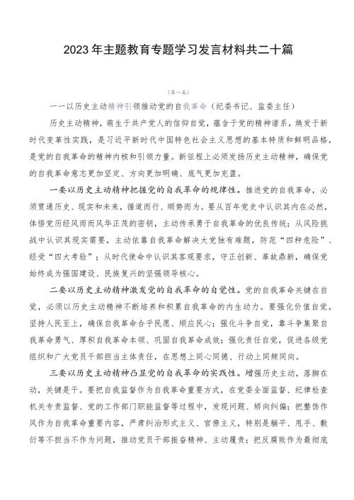 2023年主题教育专题学习发言材料共二十篇.docx