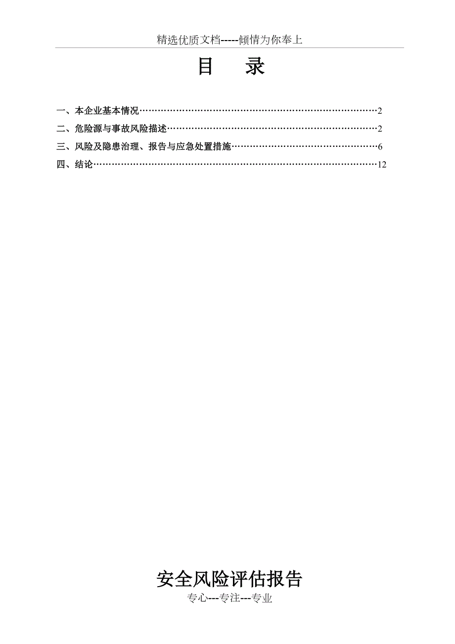 XX公司安全风险评估报告共13页.doc_第2页