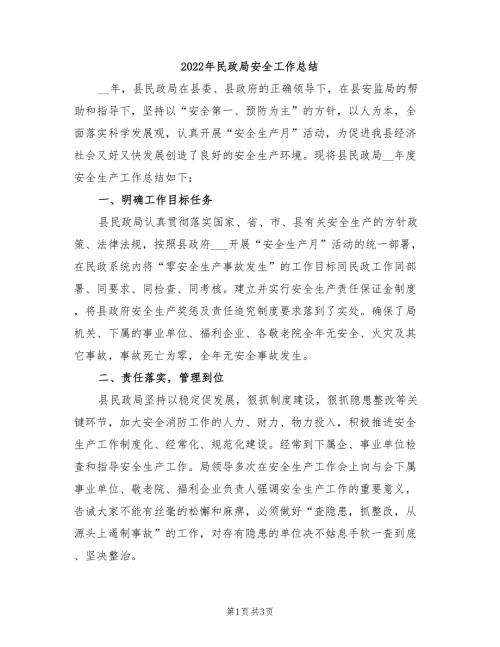 2022年民政局安全工作总结.doc