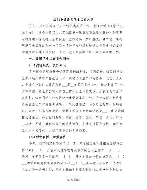 2022乡镇爱国卫生工作总结.doc